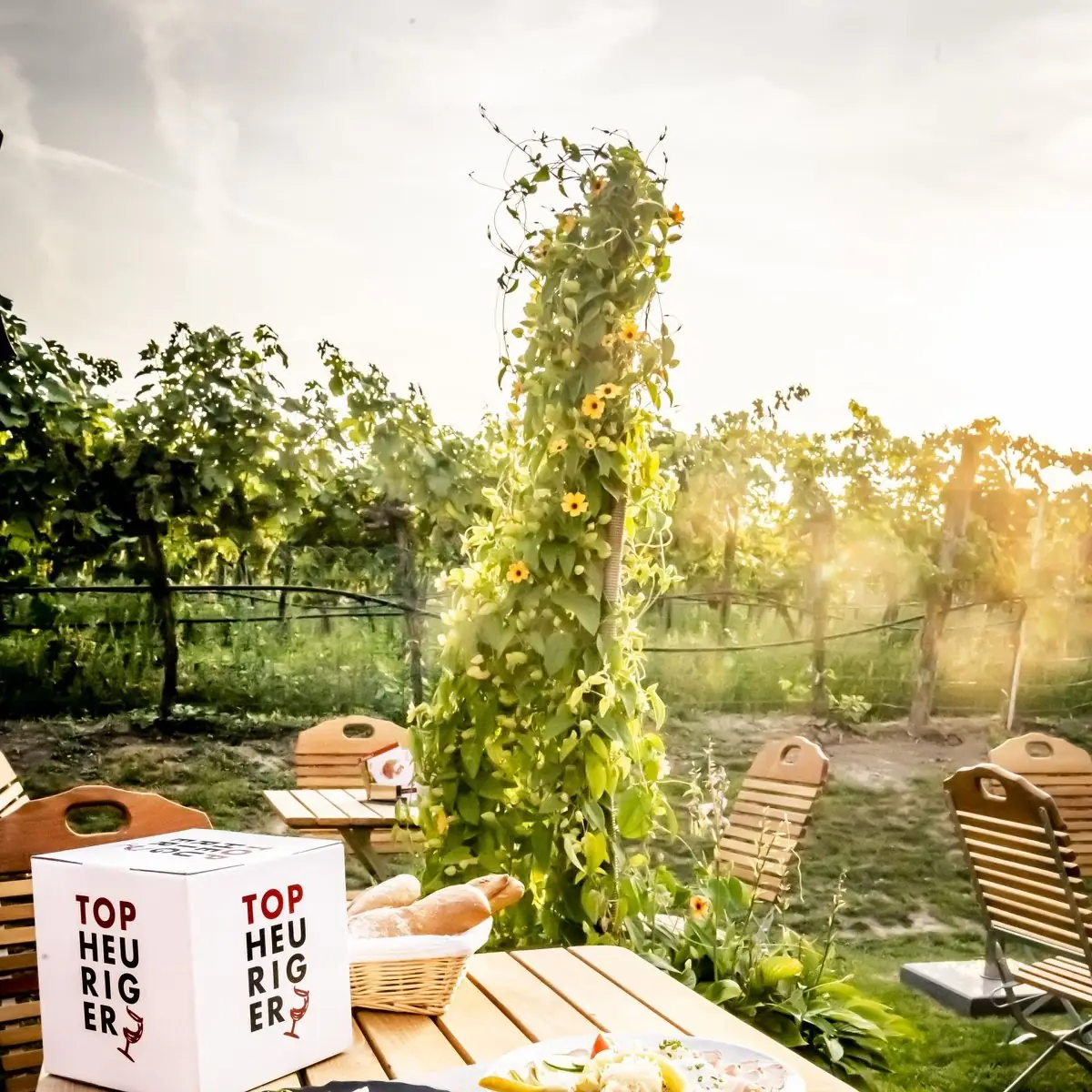 Essen und Trinken photo 1