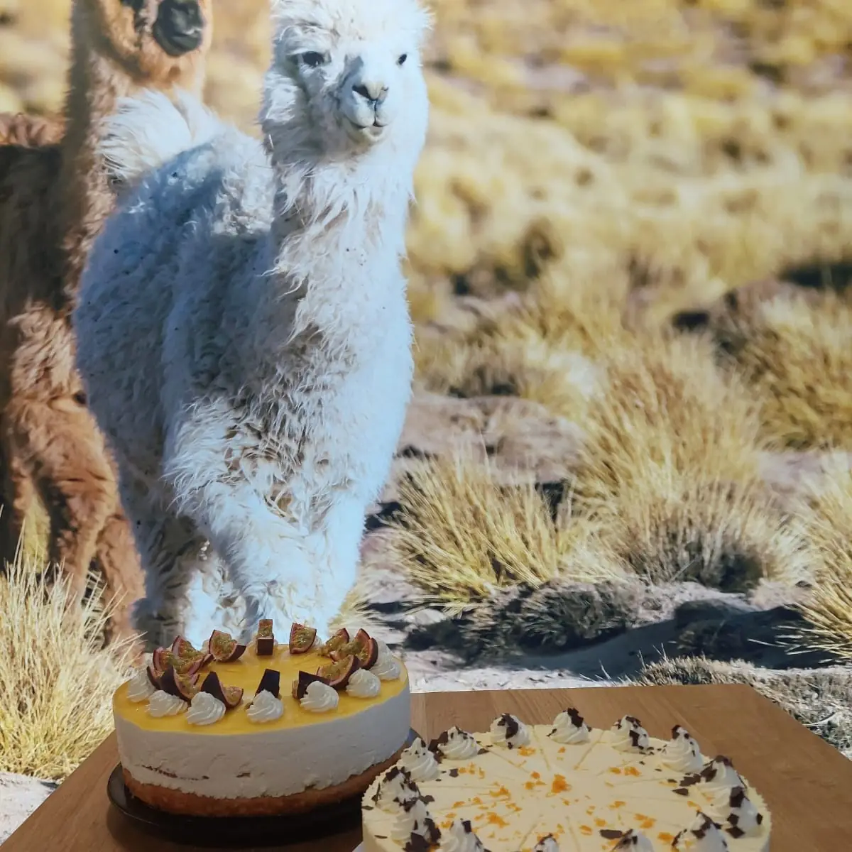Essen und Trinken photo 6