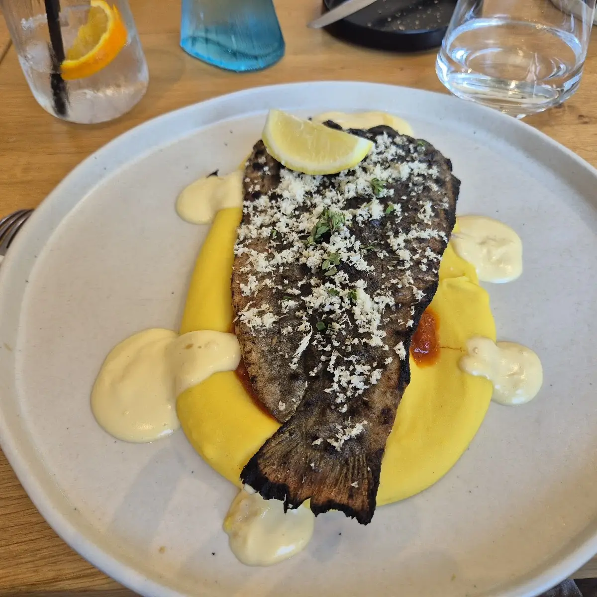 Essen und Trinken, Schwarzfischer Anglerzentrum & Restaurant