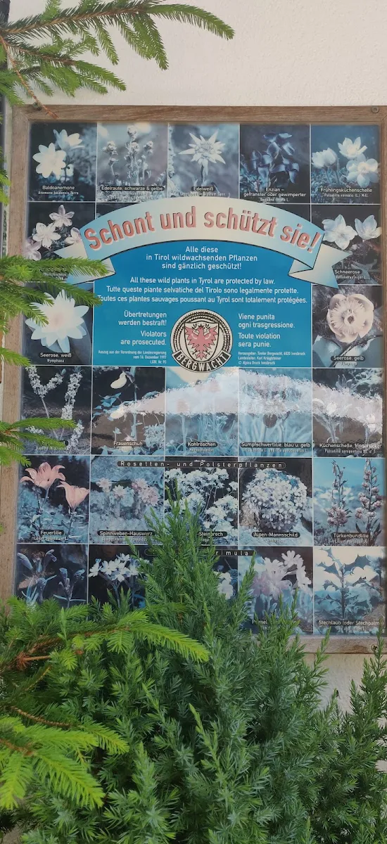 Speisekarte photo 9