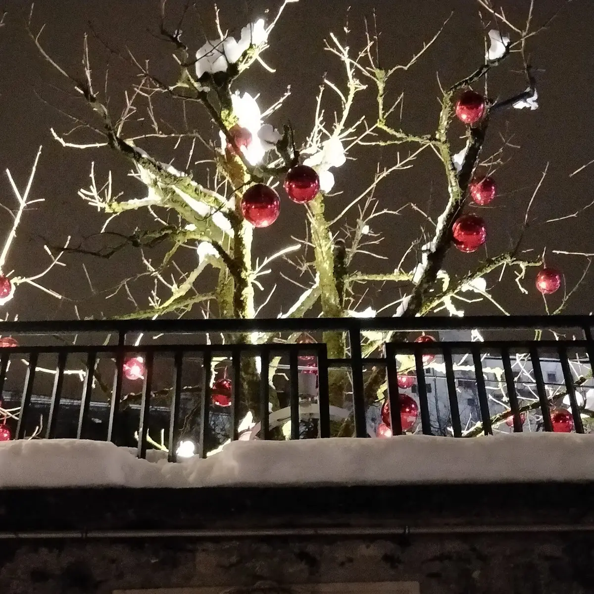 Atmosphäre, Restaurant Stiegl-Keller