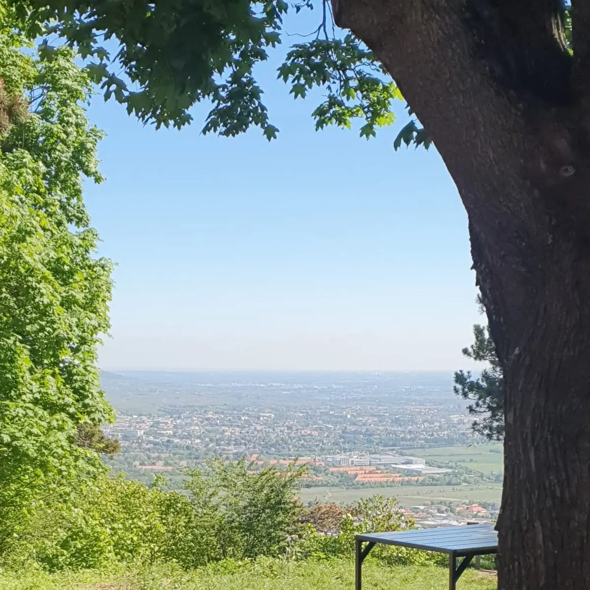 Atmosphäre photo 9