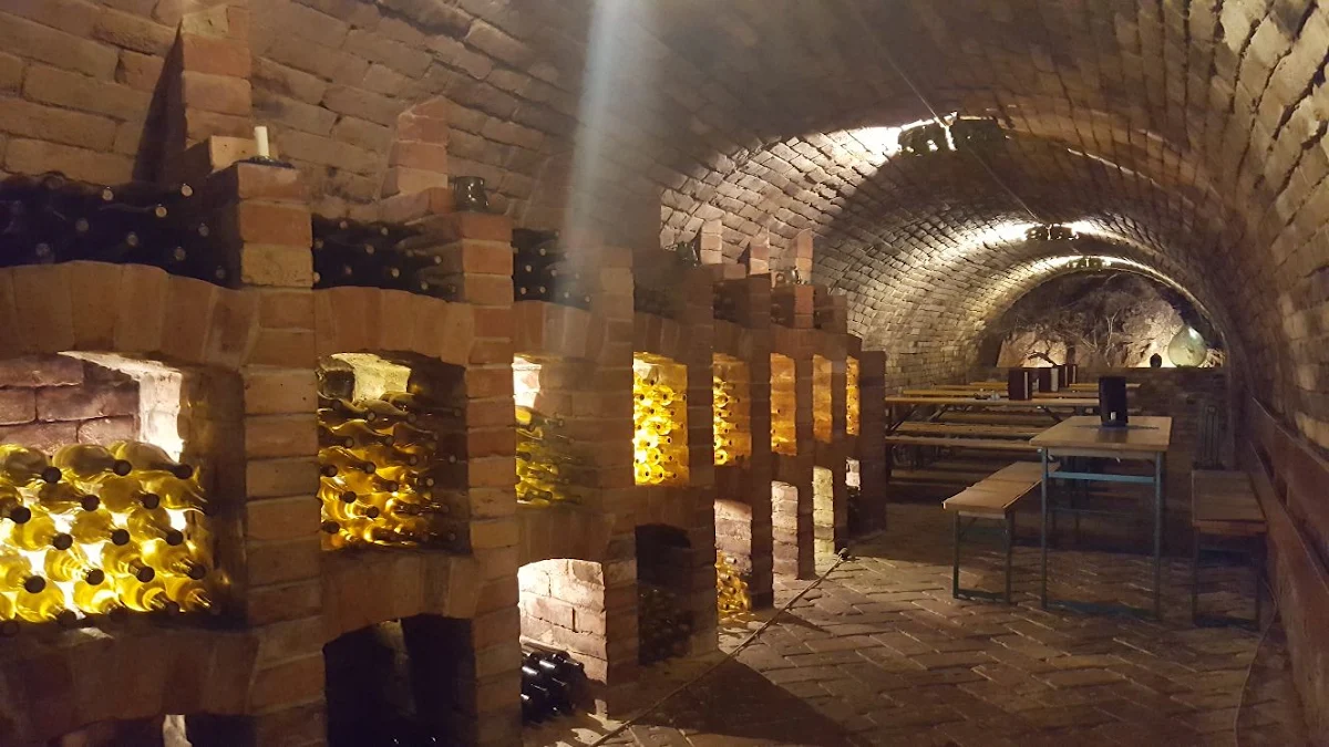 Weingut Wimmer - Veltlinerhof Titelbild