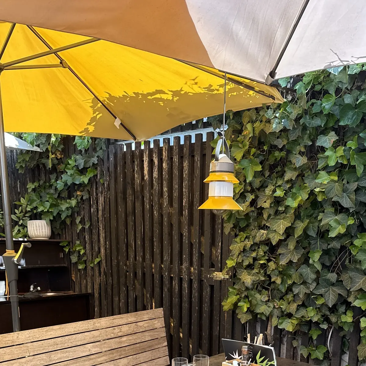 Atmosphäre photo 6