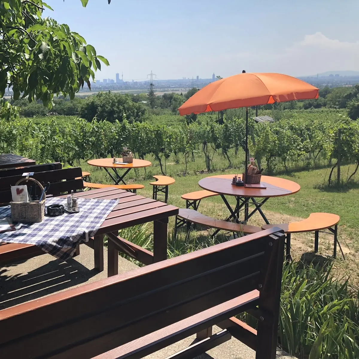 Ausblick.Wien-Weingut Höfler Titelbild