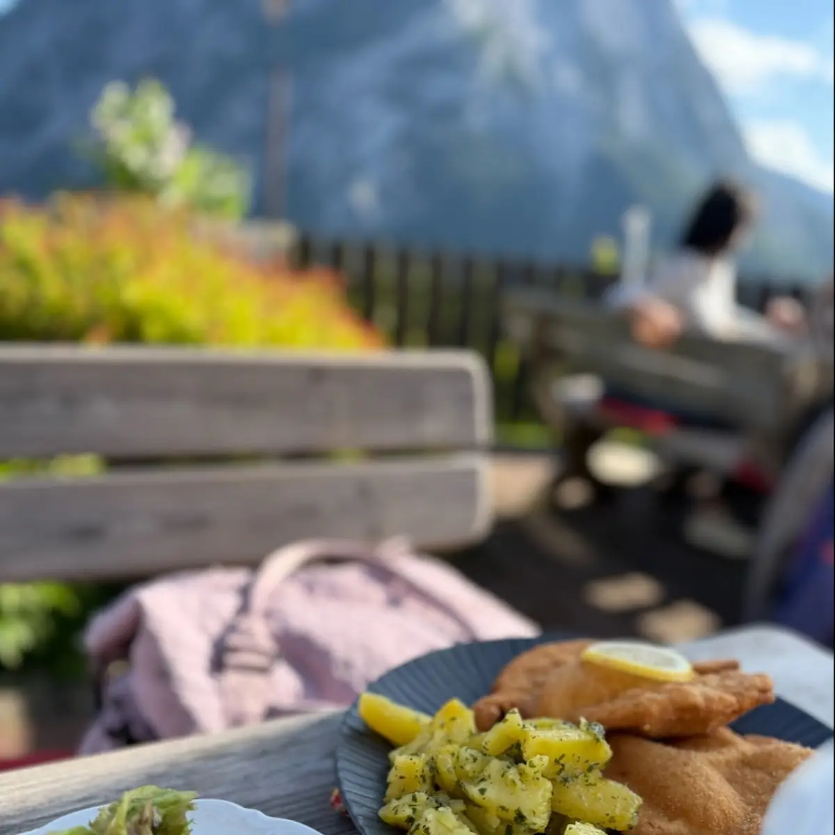 Essen und Trinken, Aussichtsgasthof Dachsteinblick