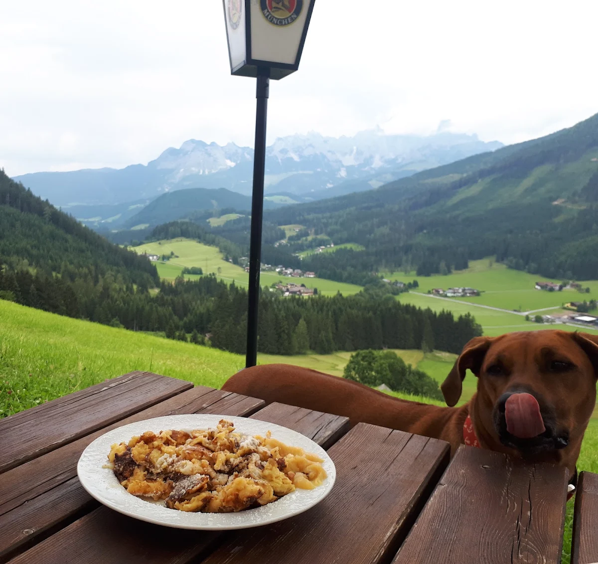 Essen und Trinken photo 3