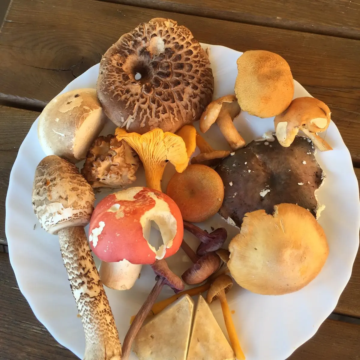 Essen und Trinken photo 6