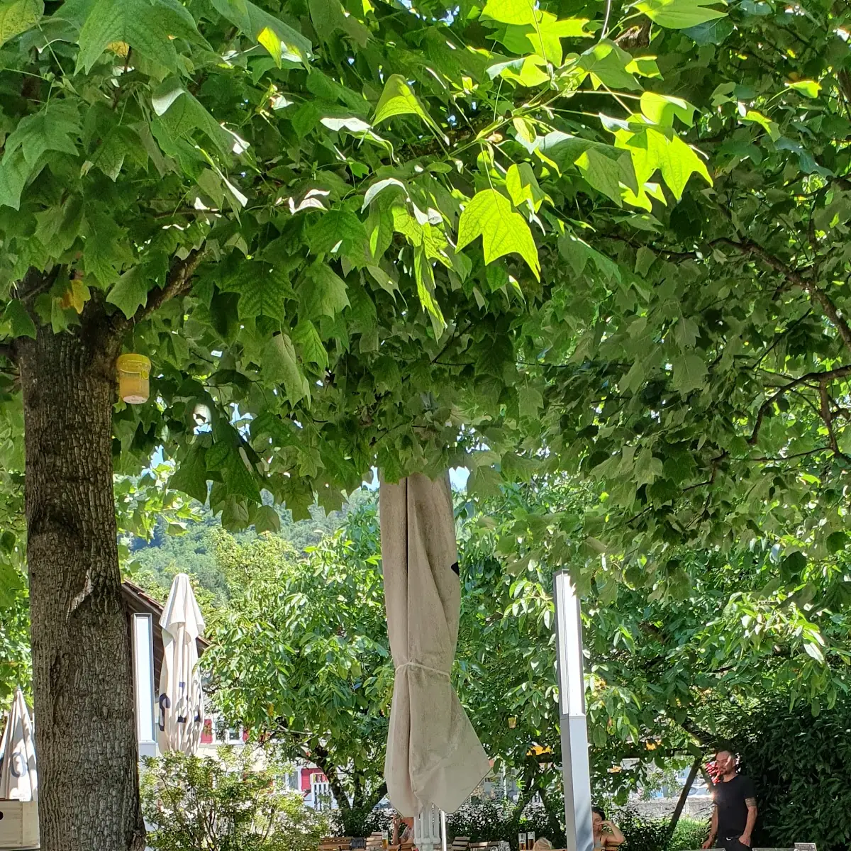 Atmosphäre photo 10