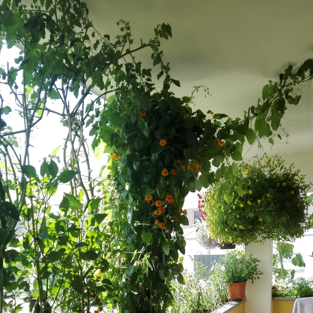 Atmosphäre photo 2