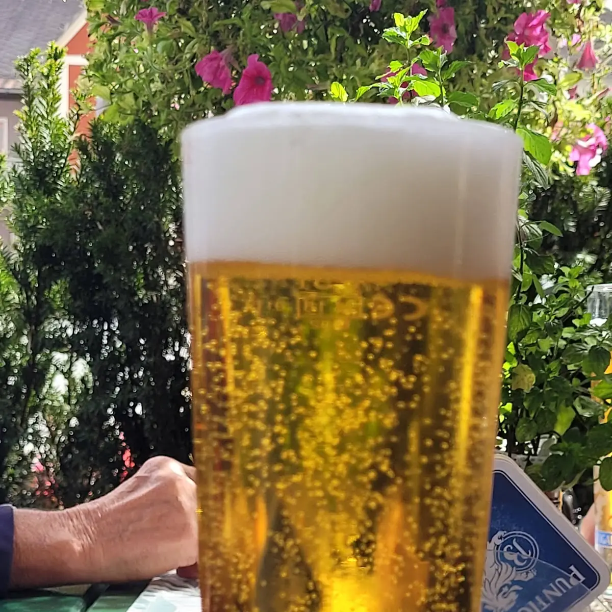 Essen und Trinken photo 8