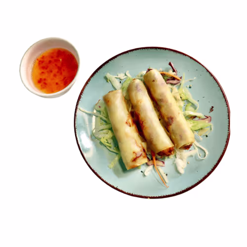 Vietnamesische Frühlingsrolle mit Gemüse