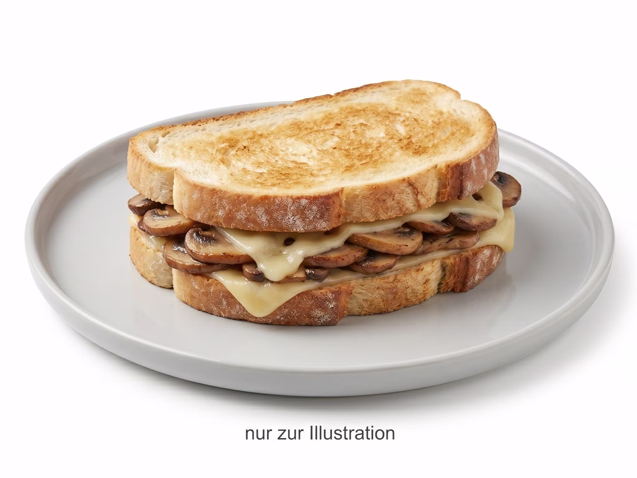 Sandwich Funghi