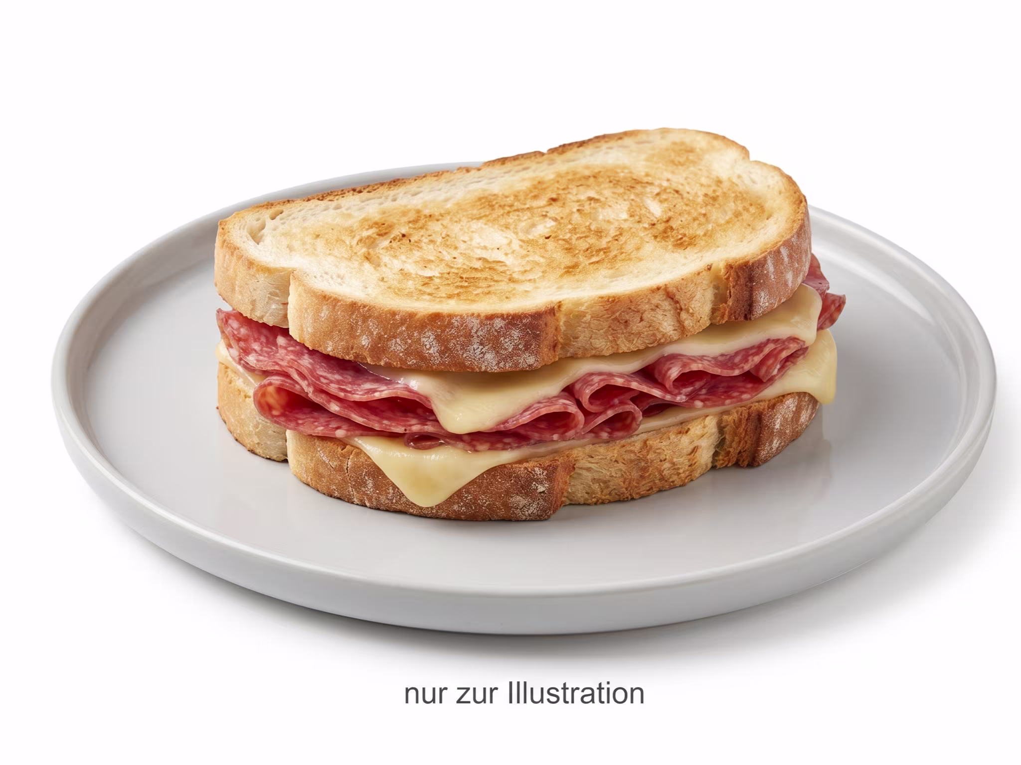 Sandwich Salami