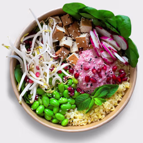 Tofu and the Jungle Bowl (vegan)