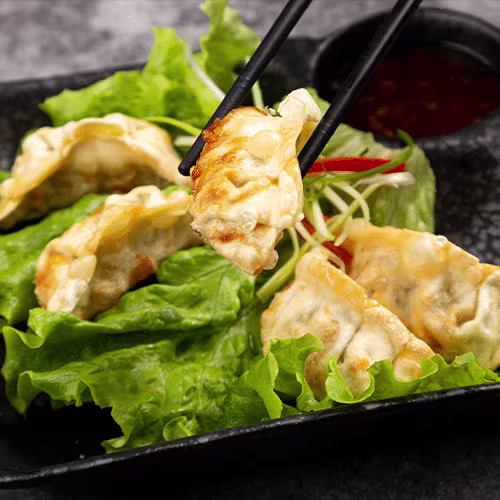 Yaki Gyoza (5 Stück)