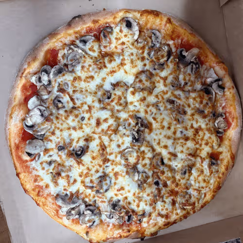 Pizza Funghi