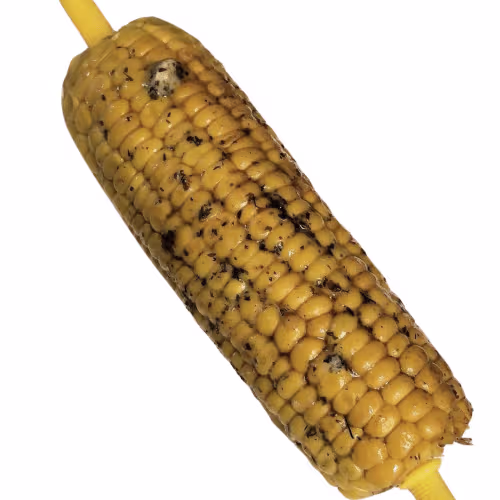 Gegrillter Maiskolben
