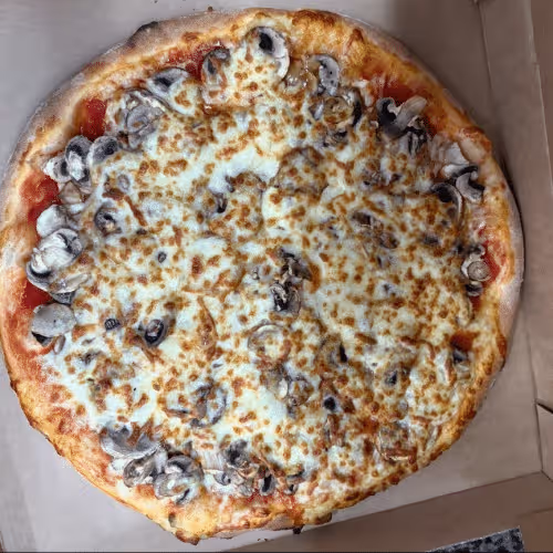 Pizza Funghi