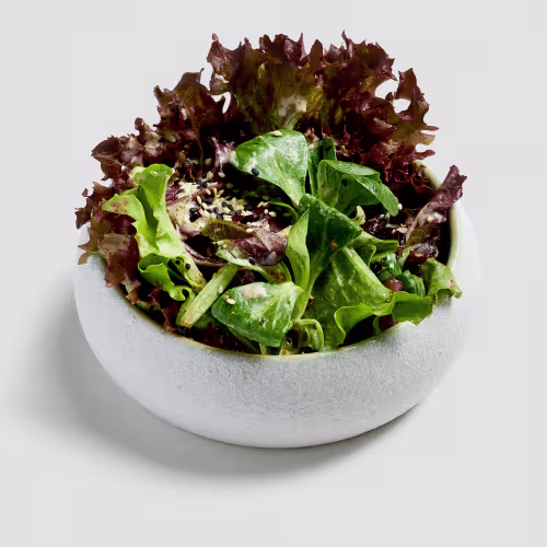 Sen Salat