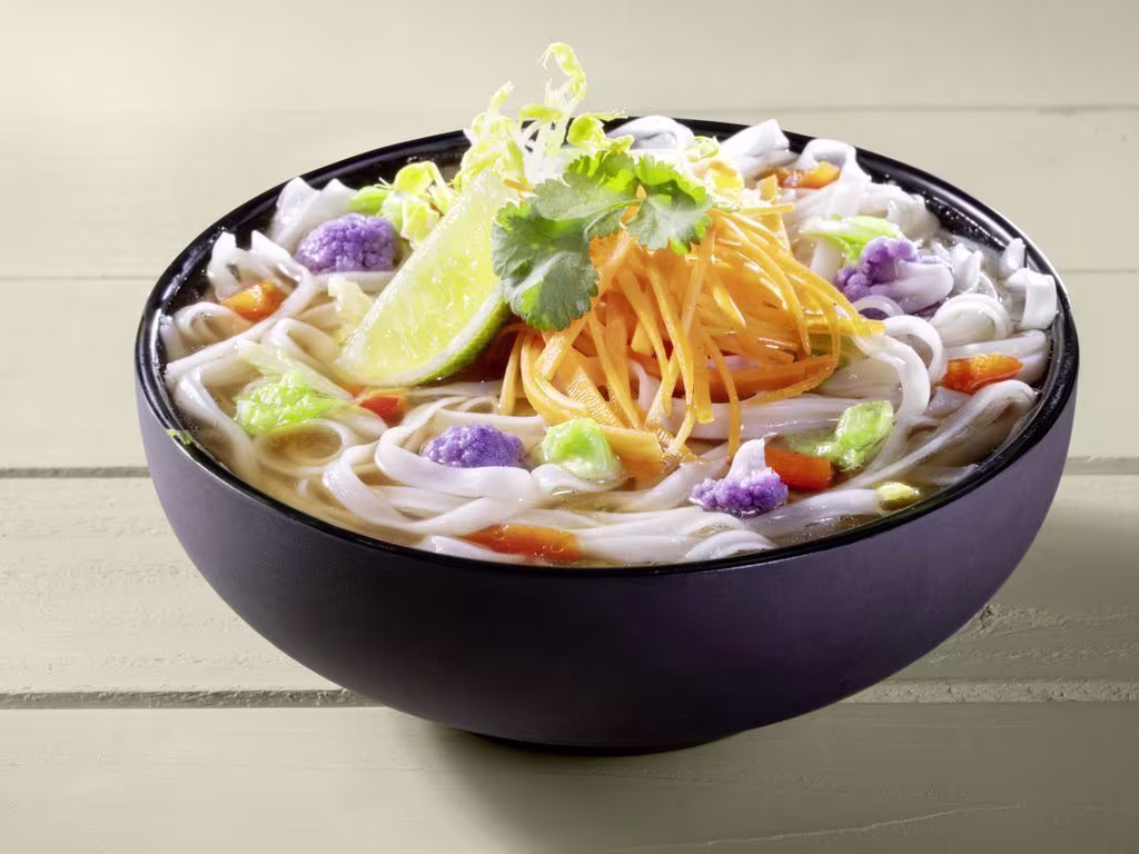 HANOI NOODLE POT