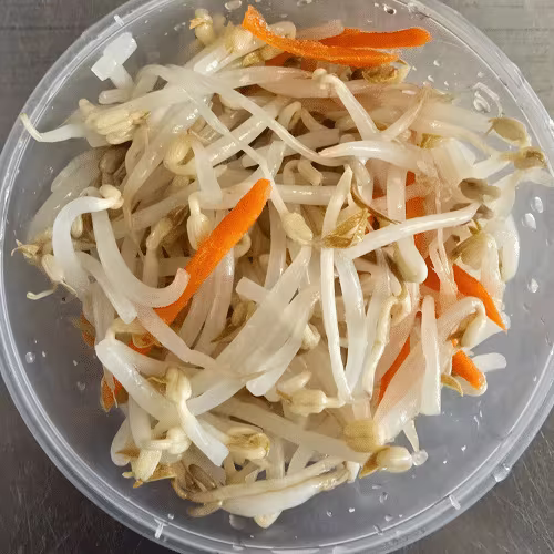 Sojasprossensalat