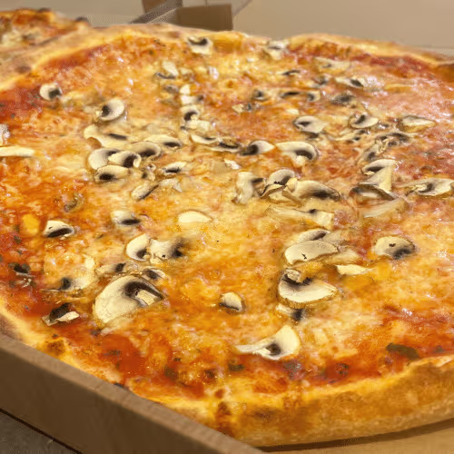 Pizza Funghi