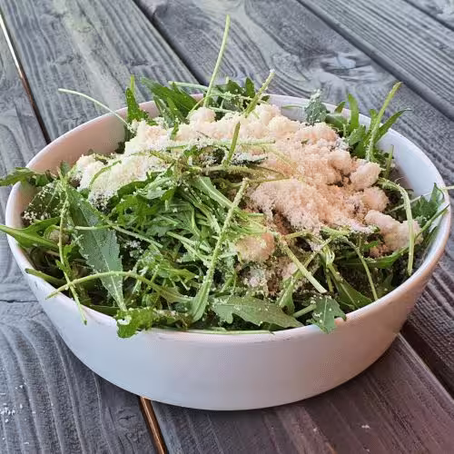 Salat Rucola