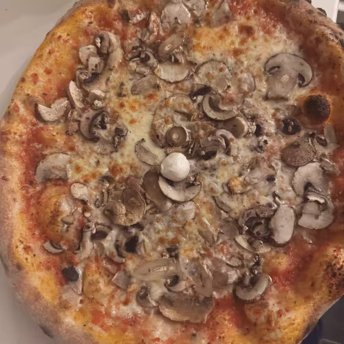 Pizza Funghi
