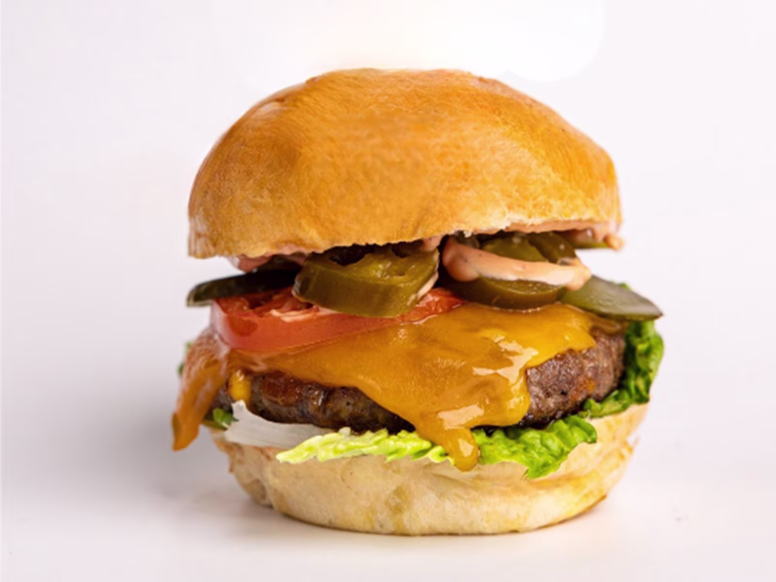 Hot & Spicy Burger