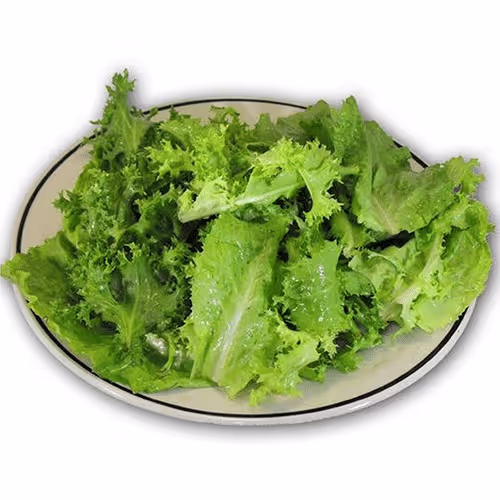 Grüner Salat