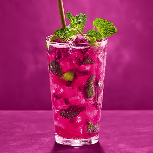 Fl. Drachenfrucht Moskito 0,4l (MEHRWEG)