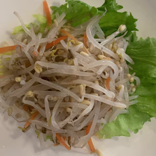 Sojabohnensprossensalat