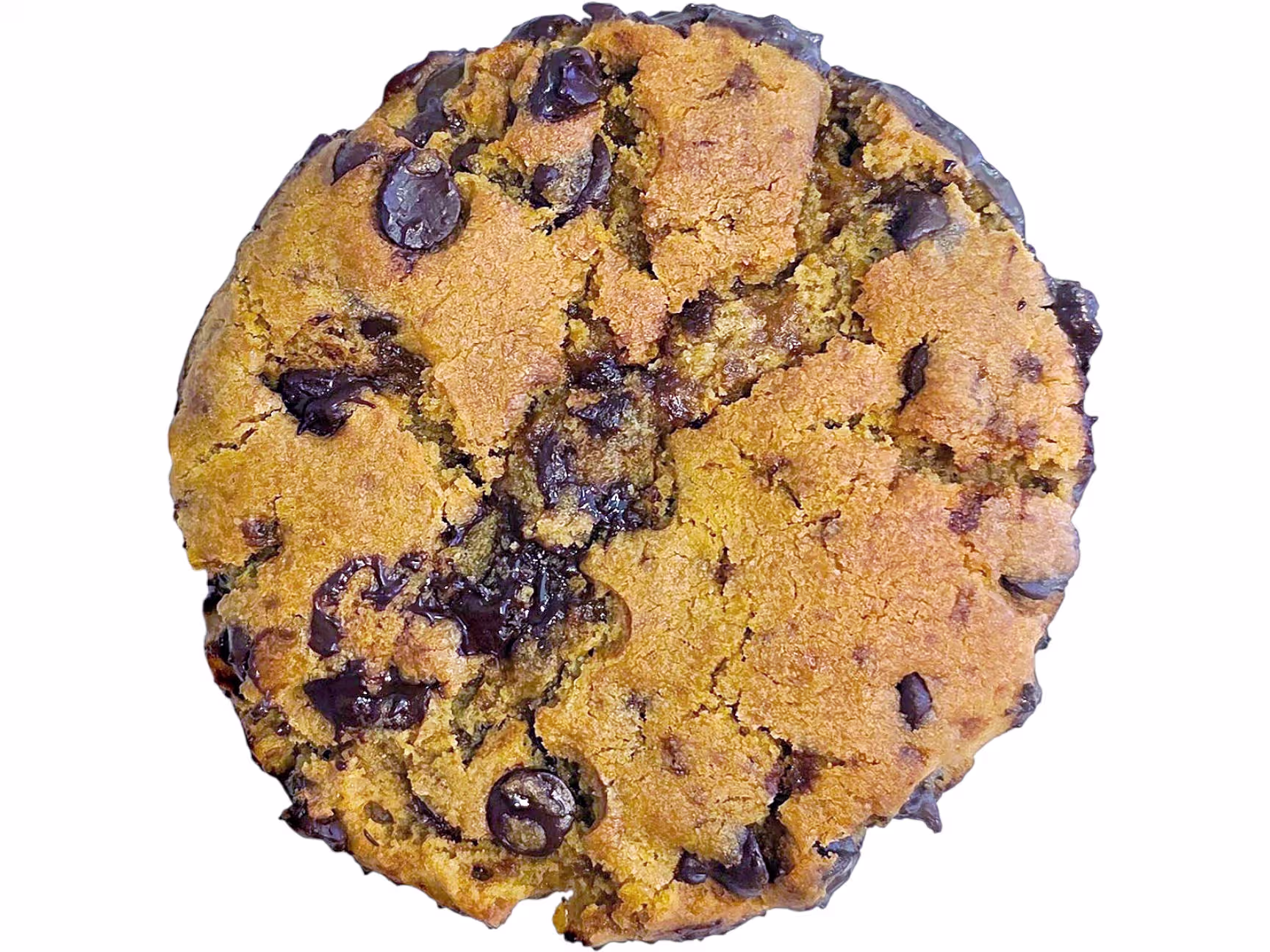 Chocolate Chip Cookie
