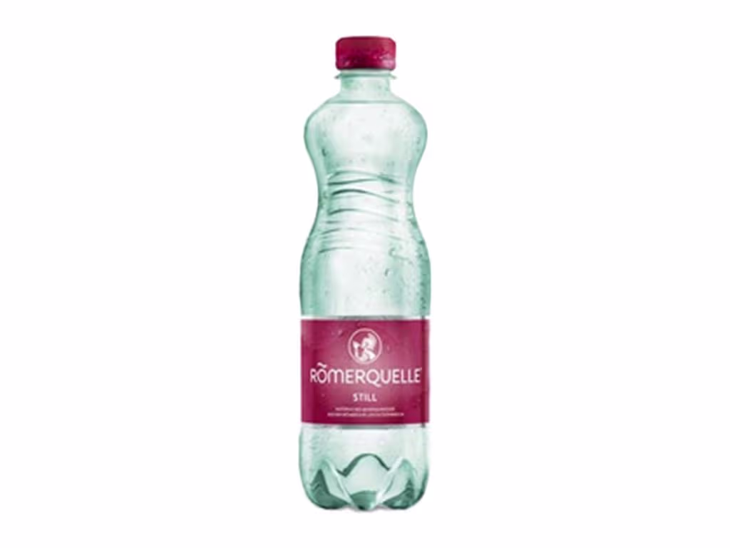 Römerquelle Still