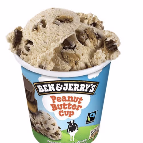 Ben & Jerry's Peanut Butter Cup 465ml
