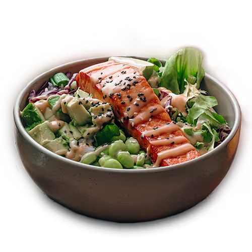 Teriyaki Salmon Bowl