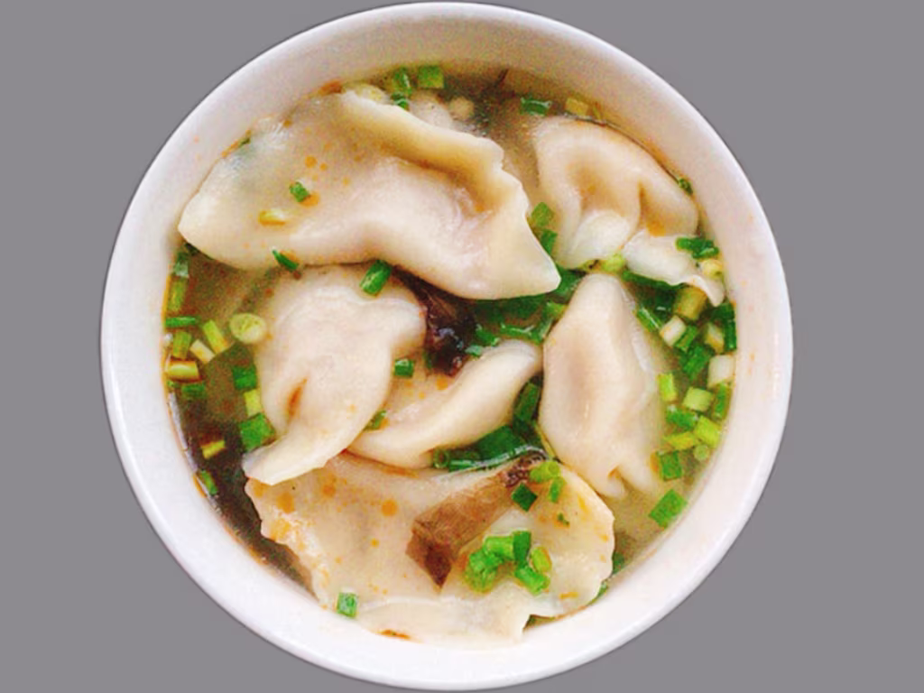 Gyoza Suppe