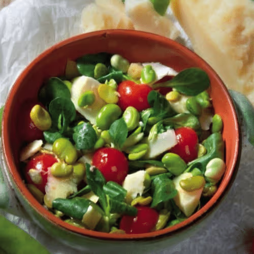 Insalata Pecorino