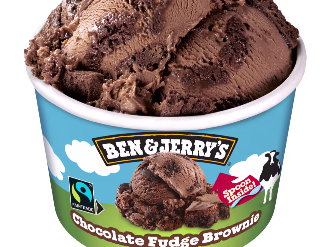 Chocolate Fudge Brownie (465 ml)