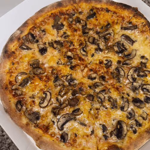 Pizza Funghi