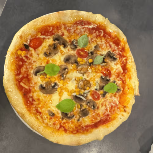 Pizza Funghi