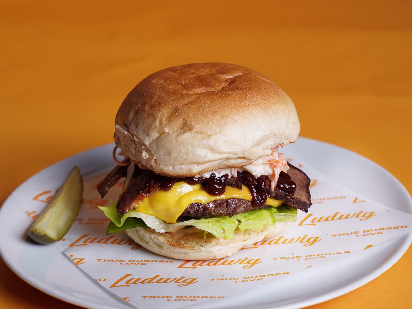 Ludwig Burger