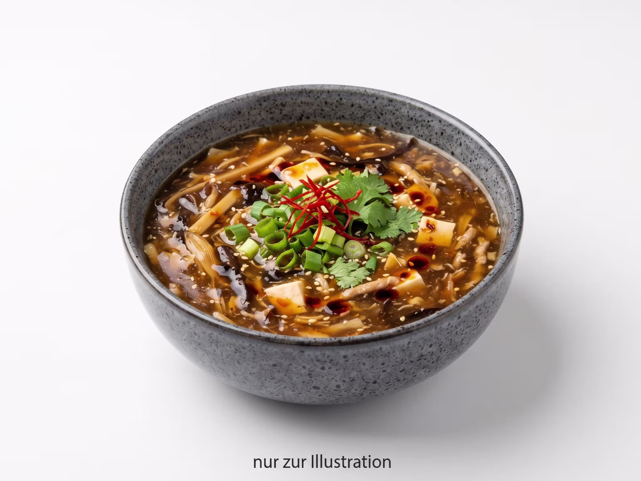 Pikant-Säuerliche Suppe