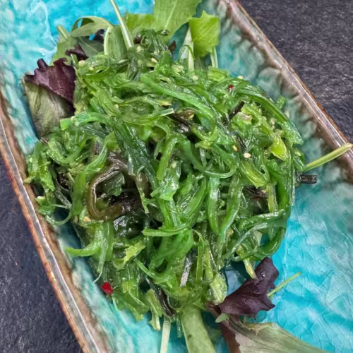V12  Seetang Salat