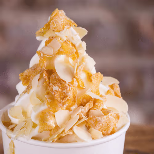 Frozen Joghurt Nuss Mix