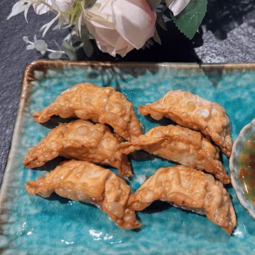 V4 Yaki-Gyoza mit Hühnerfleisch