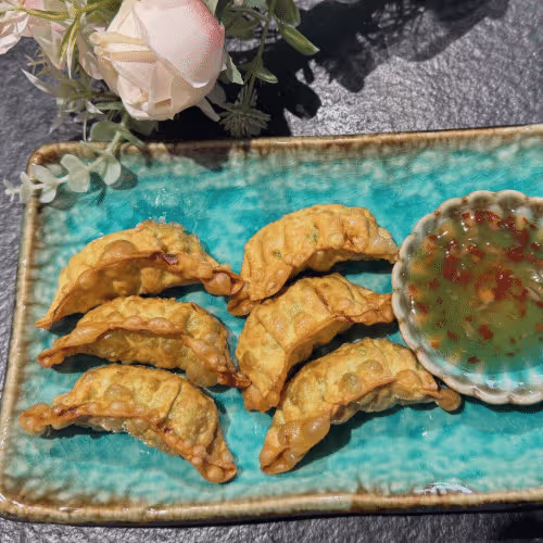 V3  vegetarische Yaki-Gyoza