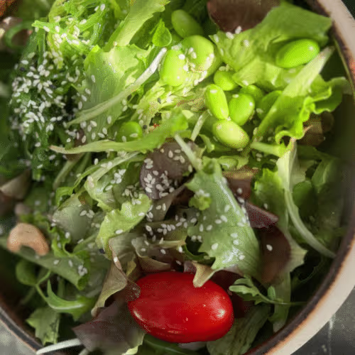 V14 Gemischter Salat