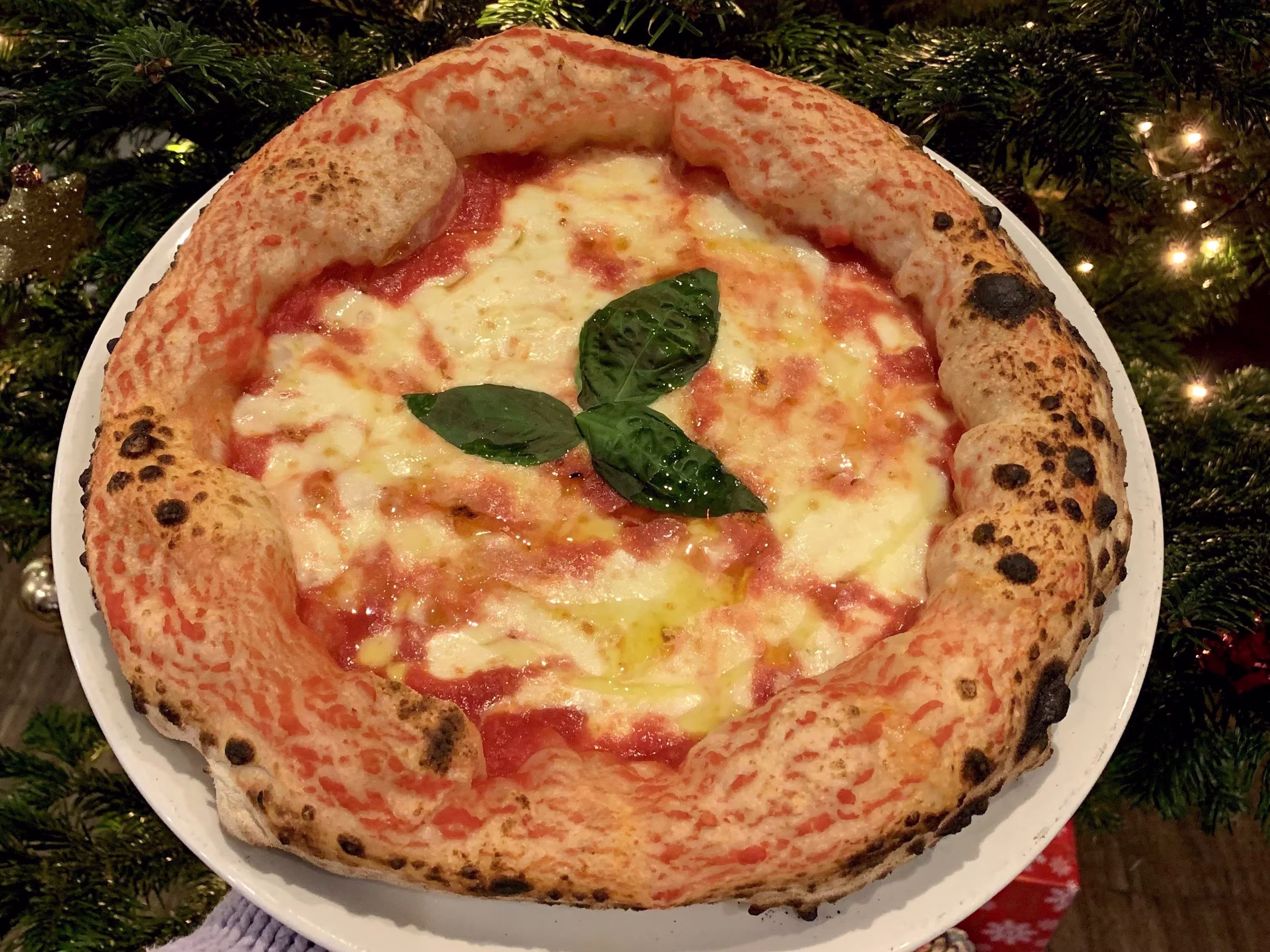 Pizza Margherita